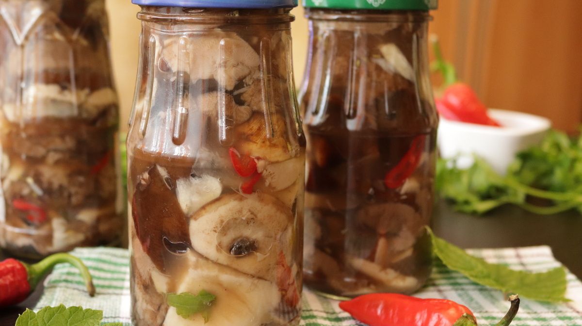 ������� ������������: ����� ��������� �����