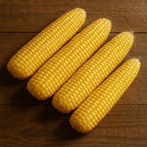 ��� ������ �������� �� ������������