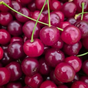 ������ �����������: �������� � ������