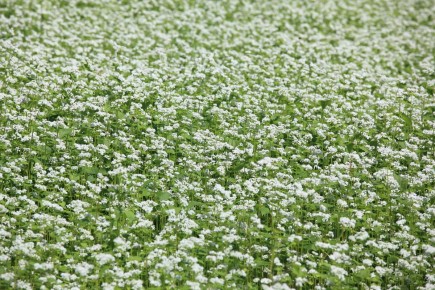 �������: ����������� ��������� ��� ����� � ��������