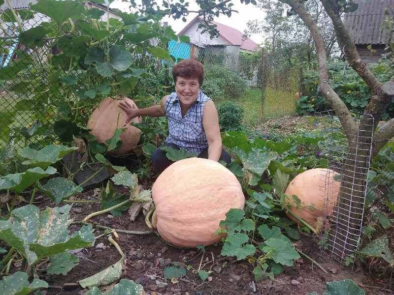 ������������� ������: ������� '�������� ���� � �������' ������������