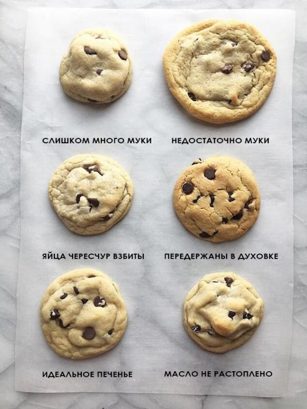 Споры о печенье: как избежать распространенных ошибок в выпечке