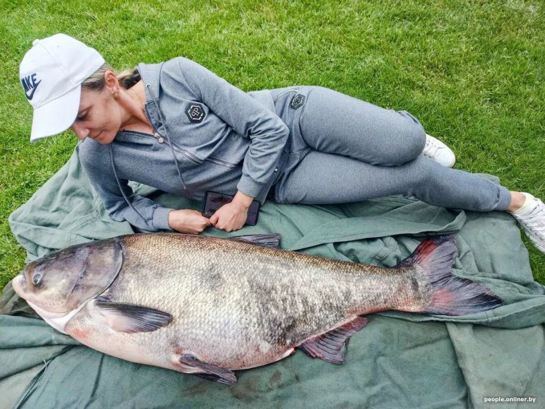 Необычные свойства толстолобика: почему его стоит добавить в рацион