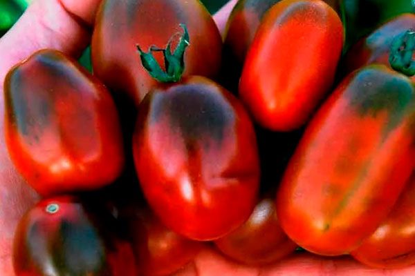 ������ ׸���� ����: ������� ��������� ����������� � ������������ ��������