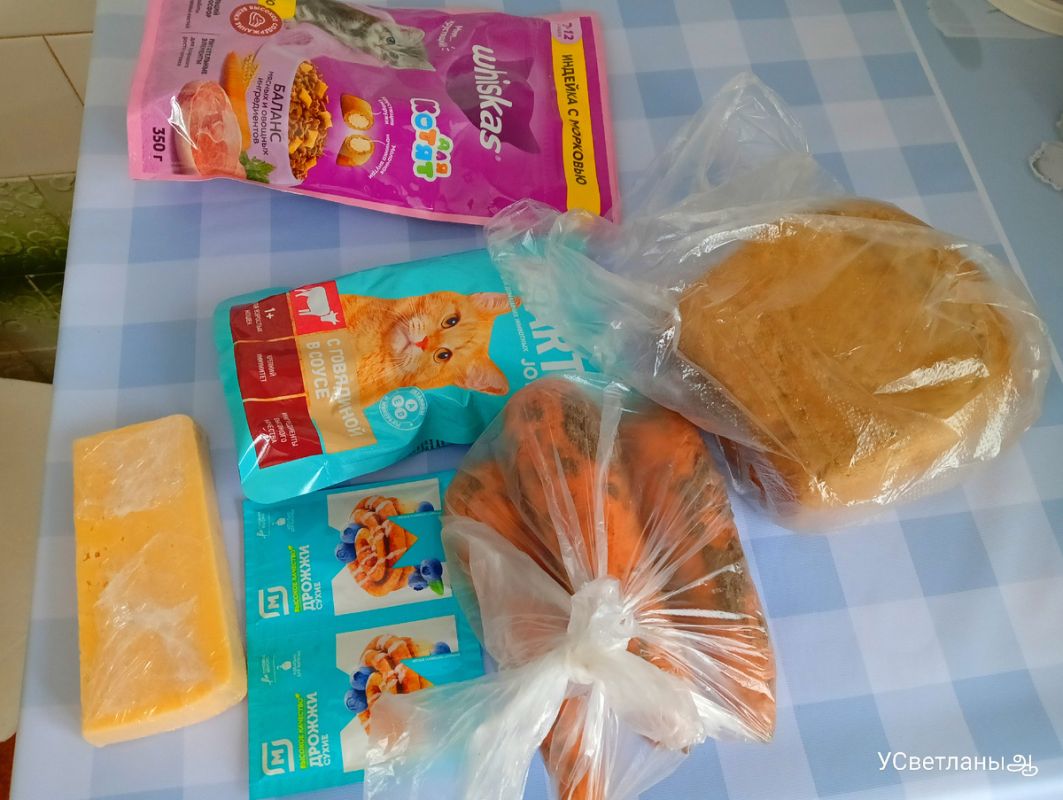 За окном дождь, дома уют, и вечер полон маленьких радостей