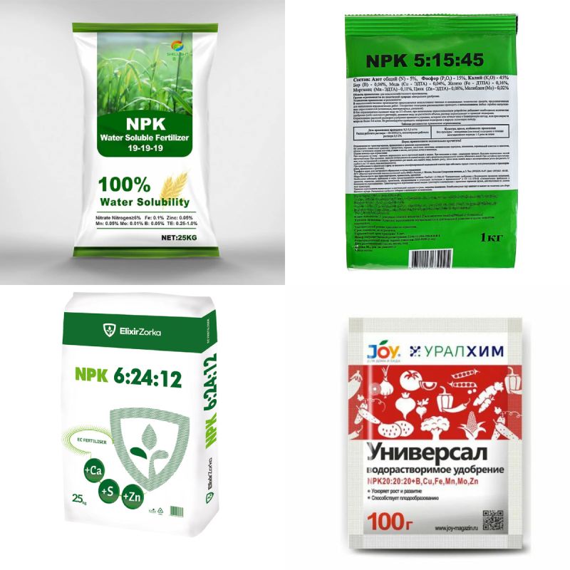 ��������� vs. �������: ��� ������� ���������� ���� ��� �������� ����� ��������