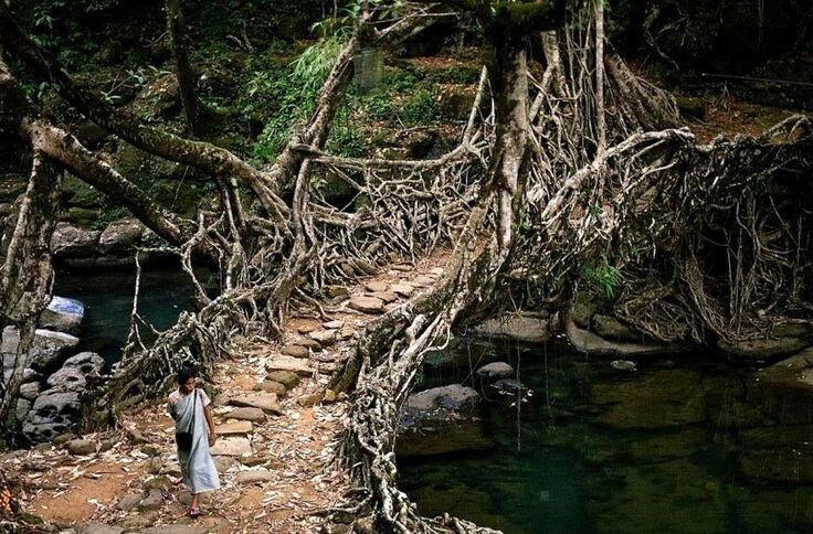 ����� �����: ���������� ���������� ������� � ���������� �����