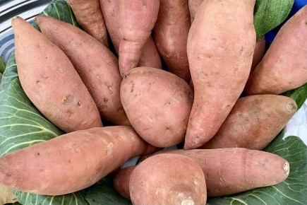 Зимние корнеплоды: 5 овощей, которые укрепят здоровье