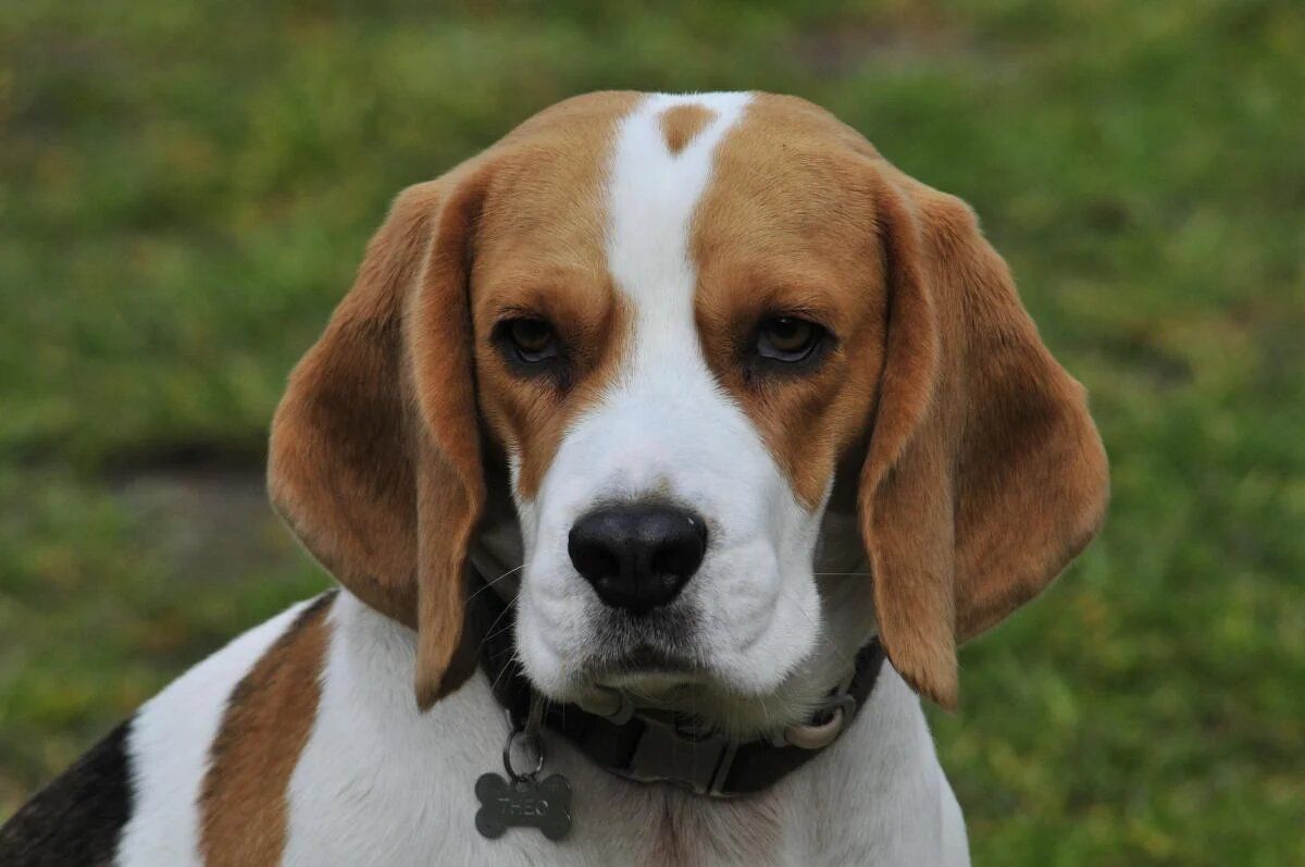 ���� ����� �����, ������� �� ����� � ��������� ��������