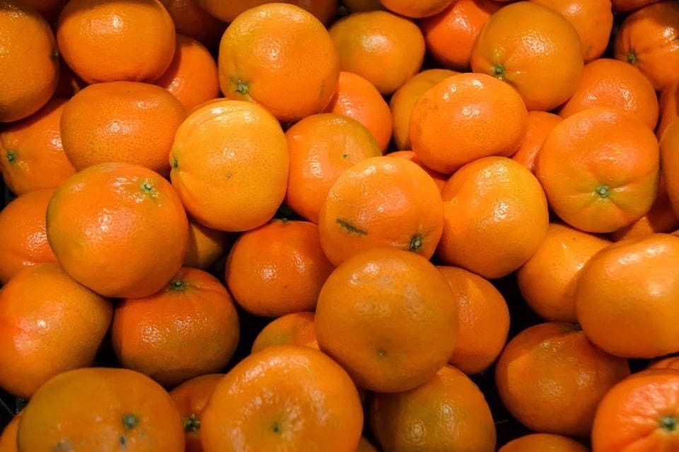 Цены на мандарины могут порадовать россиян к Новому году