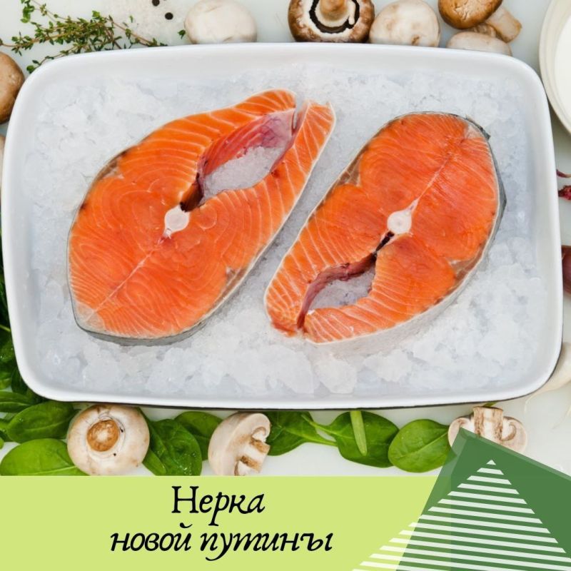 ������ ������ ������: ���������� �����