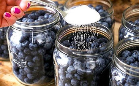 Секреты хранения свежей черники: наслаждайтесь ягодами весь год