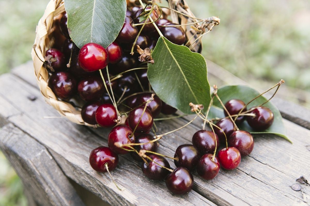 ����� � �������: ����� ����� ������ ����� �������� �������?