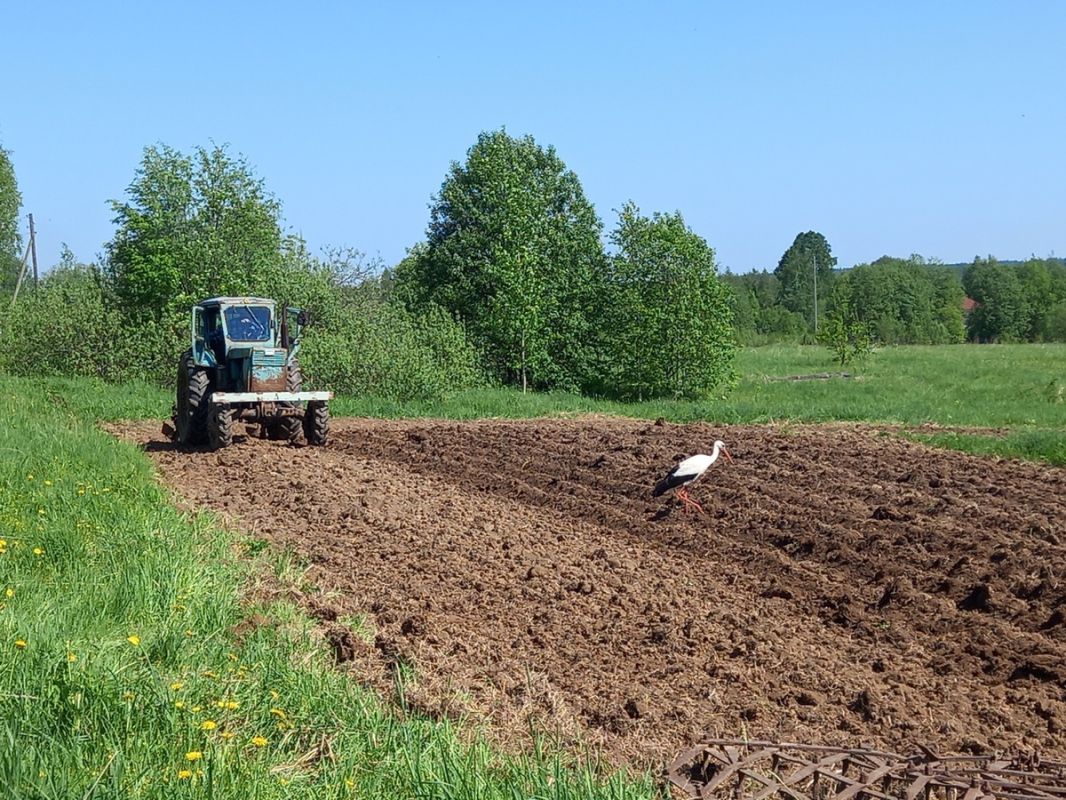 �������� � ������: ��� ������ � ������ ����� �� ����?