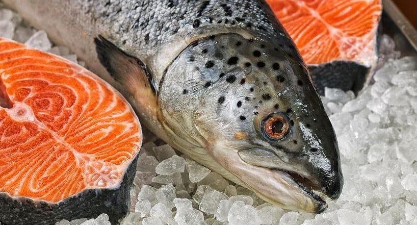 ������� ����: ������ �������� ��������� ����������� ������