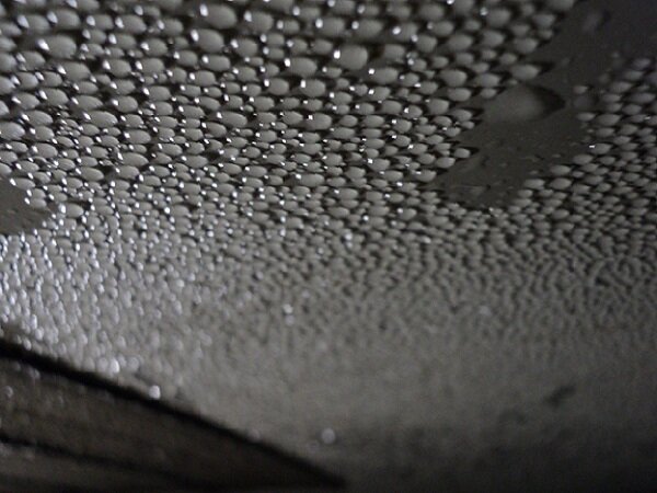 Как избавиться от конденсата на потолке в погребе?