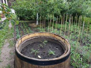 ��� ��������� �������: ������� ���������� ������� ������������