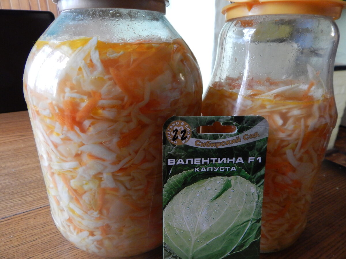 Вкусная капуста зимой: секреты хранения и приготовления