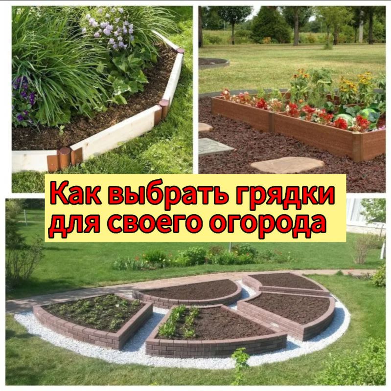 ��� ��������� ������� ������ ��� �������: �� ������� �� �������������