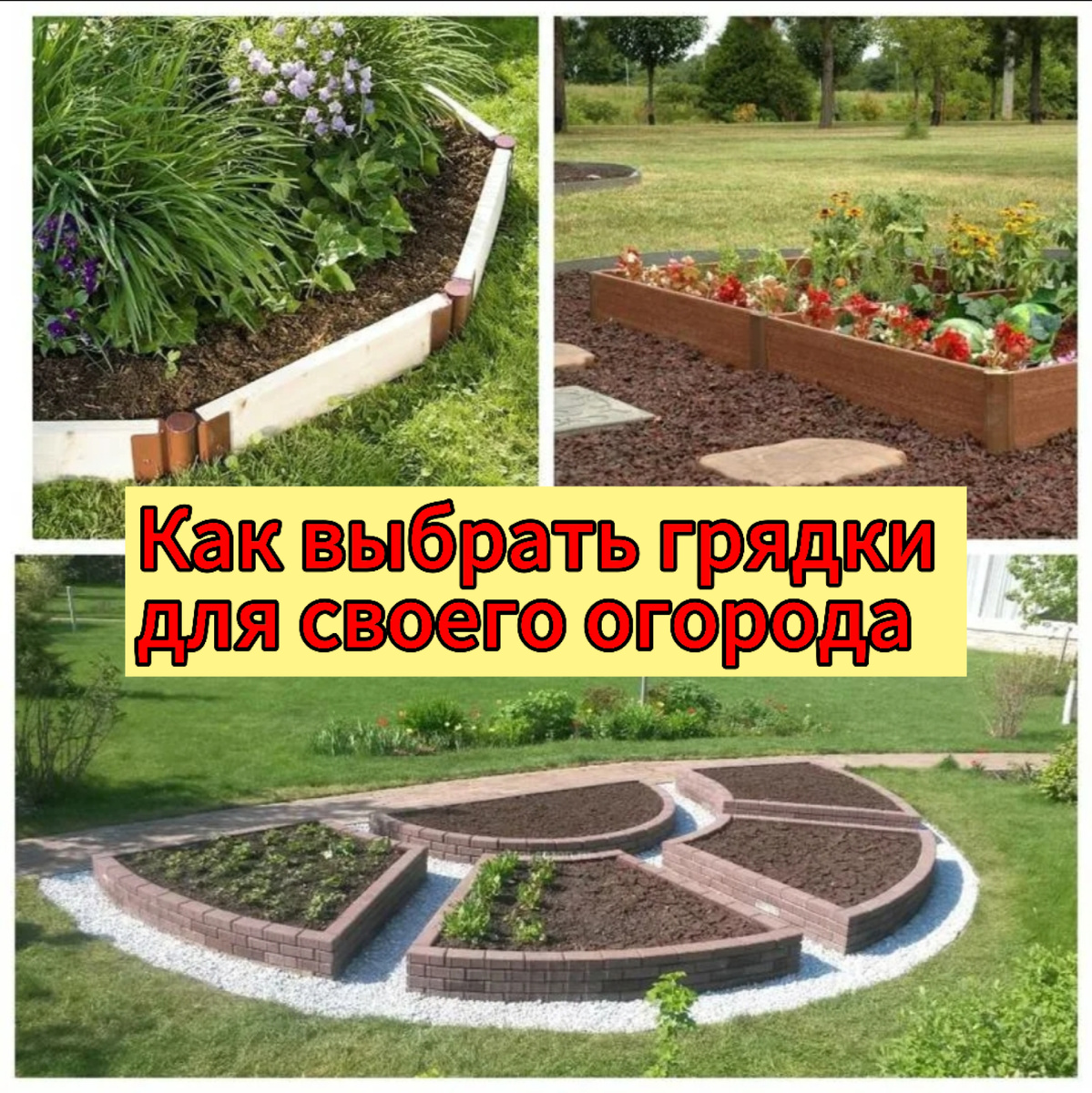 Как правильно выбрать грядки для огорода: от дизайна до долговечности