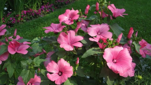 ��������: 10 ������, ������� �������� ������ �����, ��� �������