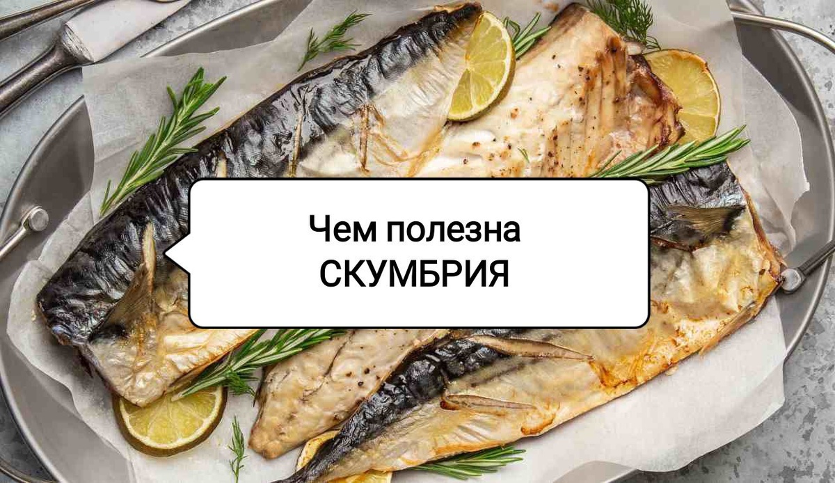 Скумбрия: секрет здоровья в вашей тарелке