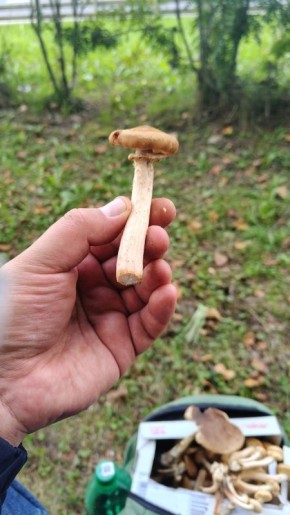 ��������� ������� ���� ������