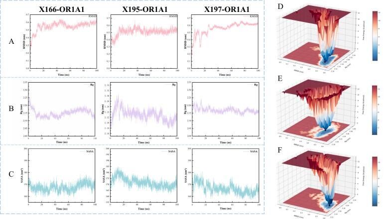 ����������� �������� � ���� ���