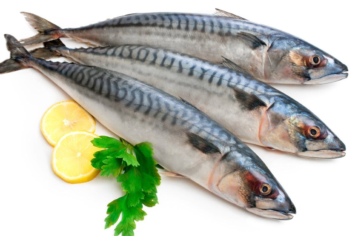 �������� ��-��������: ��������� ����� ��� ��������� �����