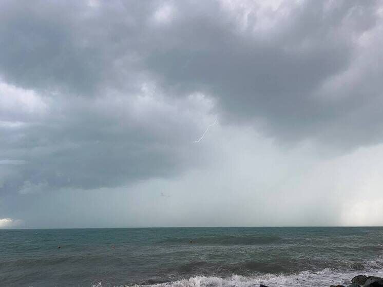 Импорт рыбы из Гренландии в Россию: цифры и тенденции