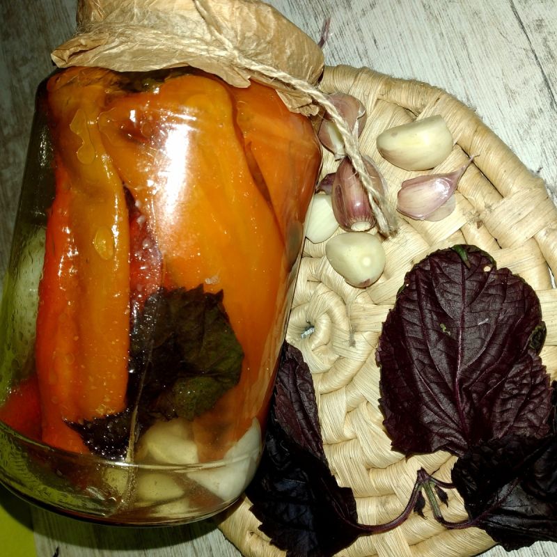 ��������� ����� �� ����: ������ � ������ ��� ��������