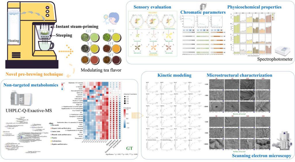 Ошпаривание чая: как пар меняет вкус напитка