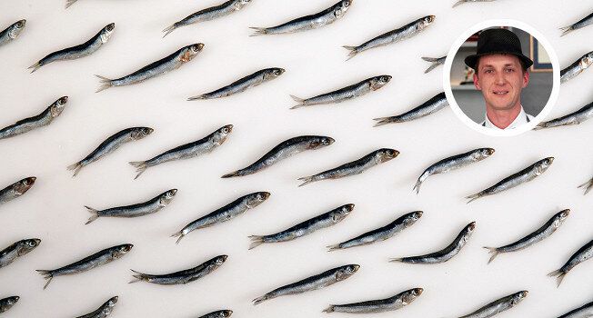 �����: ����� � �������