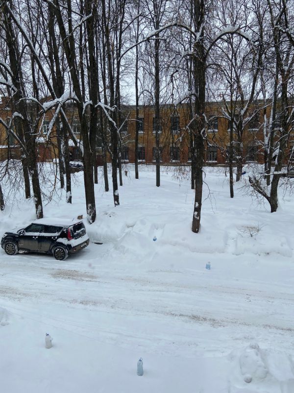 Снегопад не остановит активную жизнь: новый взгляд на старые дела