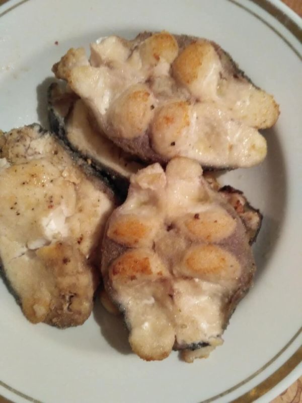 ����, ������� � �������� �������