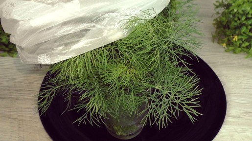 ��� ��������� ������ ������: 3 ������� ������� �������� ��� ����� ����������