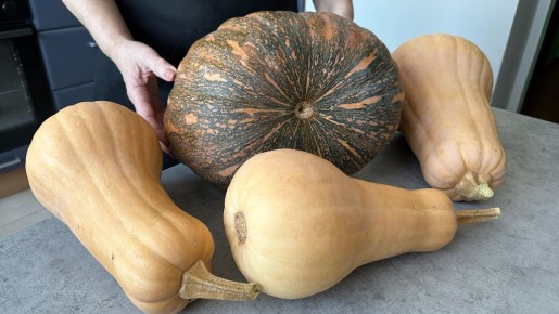 Как использовать тыкву: делимся лучшими кулинарными идеями