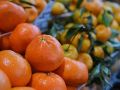 Сочные мандарины украсили ярмарки Москвы