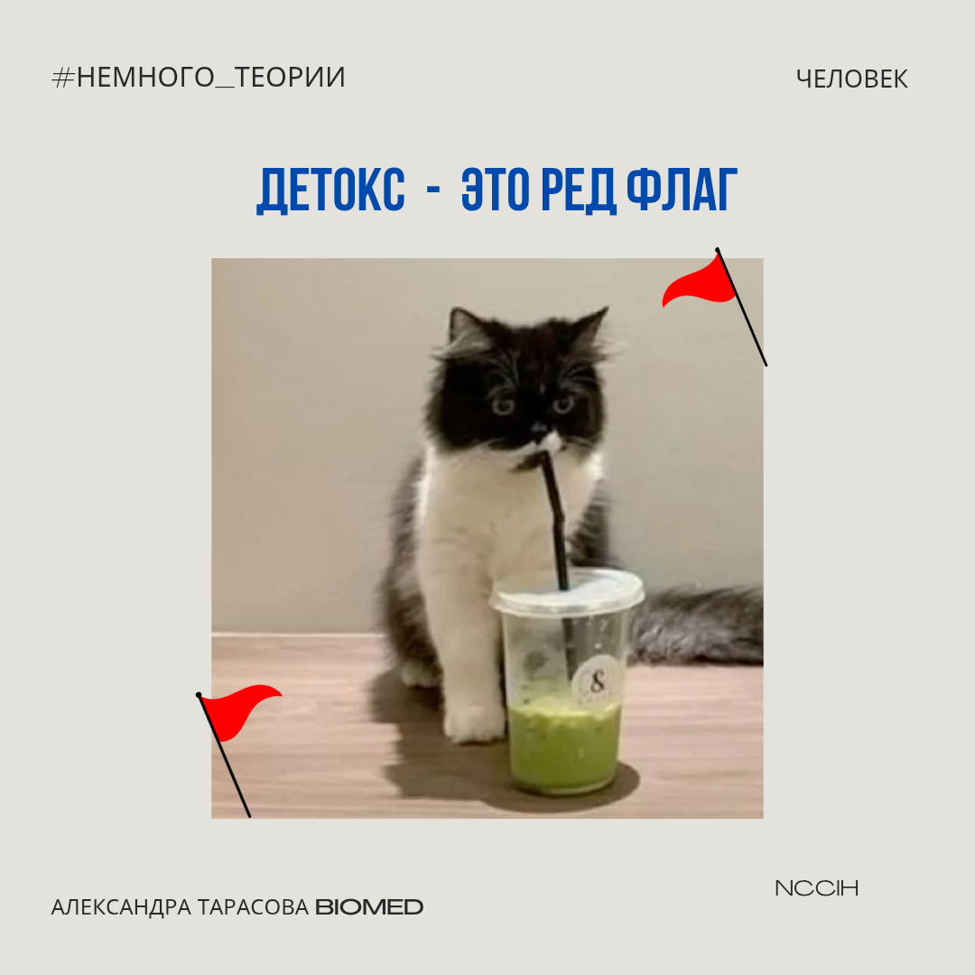 Детокс: мифы и реальность чистки организма