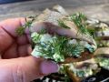 Вкусная закуска из селедки, которая вернет в прошлое