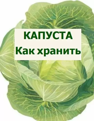 Секреты идеального хранения капусты