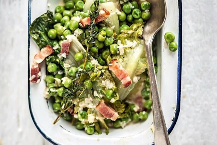 ����� ������ � �������� �������: ���������� ���� � ������ �����