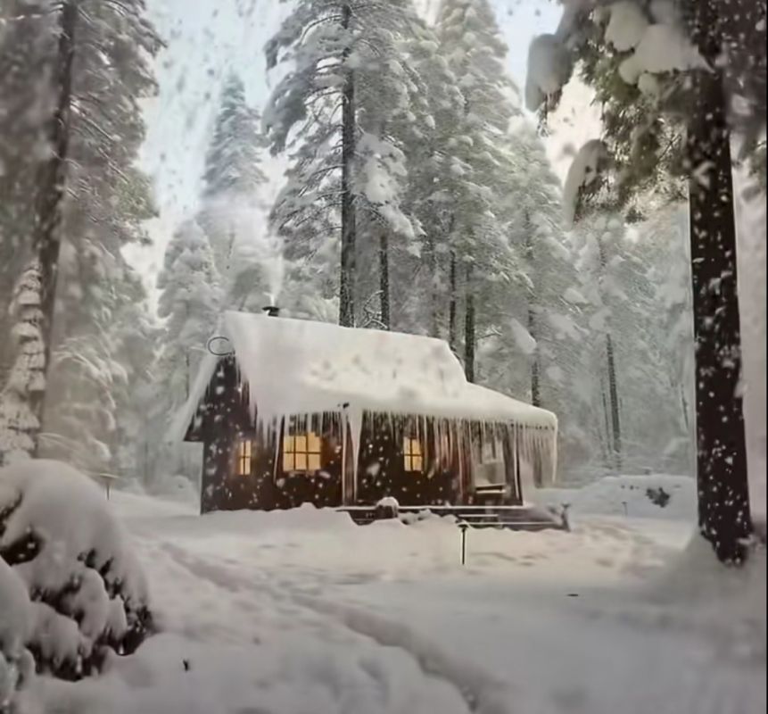 ������������ � �����: ����� ����� ���� �����