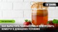 ������ ����: �������� � ���� � ����� �����