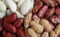 Фасоль: белая, черная, красная - рецепты и полезные свойства
