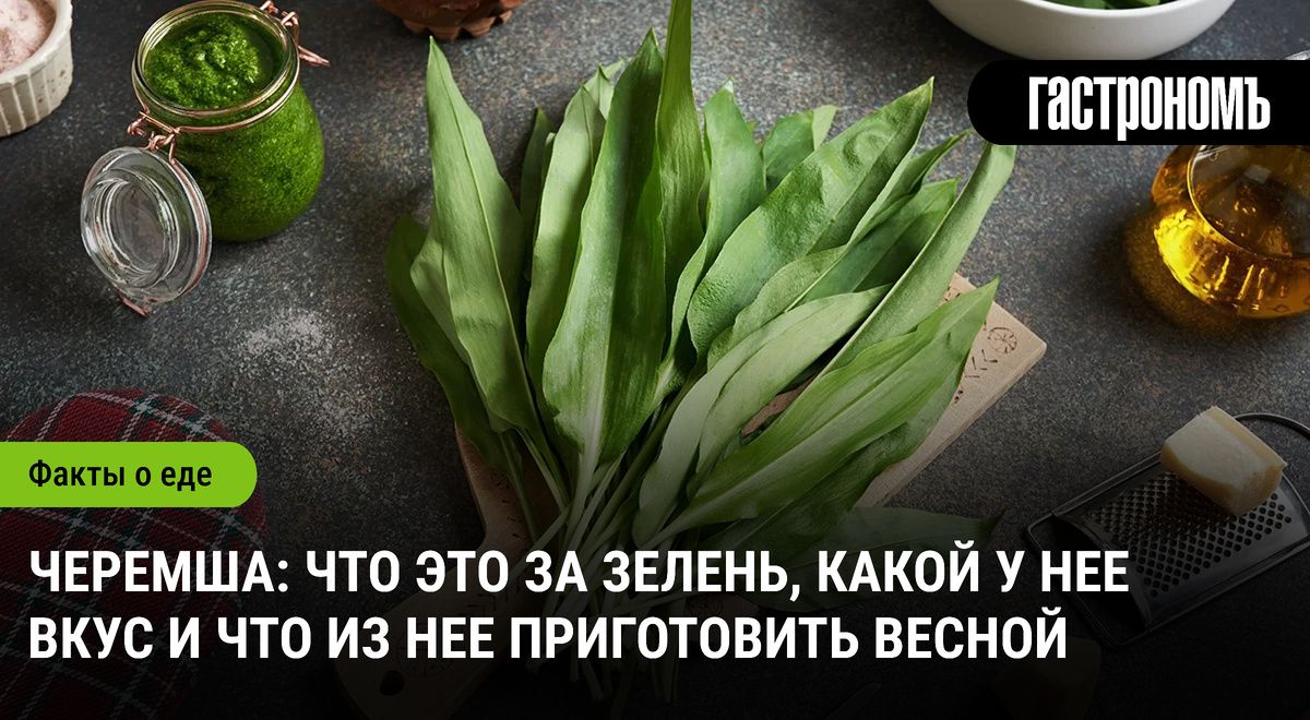 Черемша: весеннее сокровище для гурманов и приверженцев здорового образа жизни