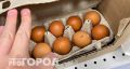 Маленькие против больших: какие куриные яйца действительно полезнее
